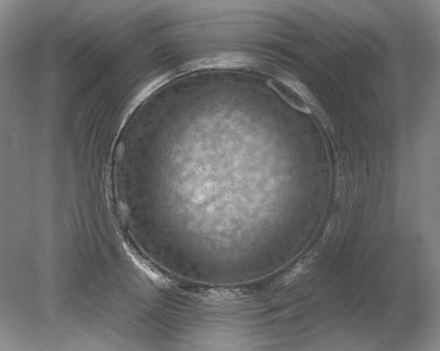 X0000079280850200612011656