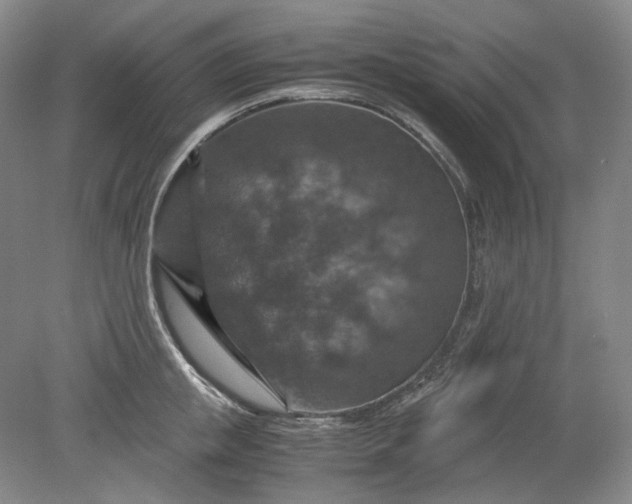 X0000079280853200612011656