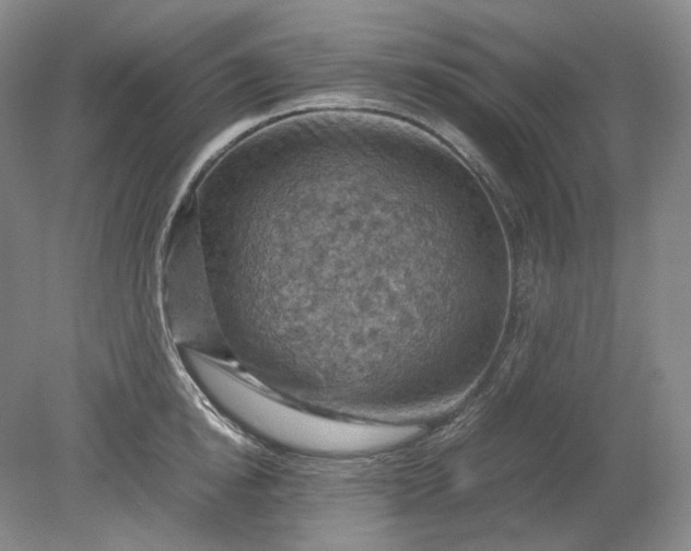 X0000079280854200612011656