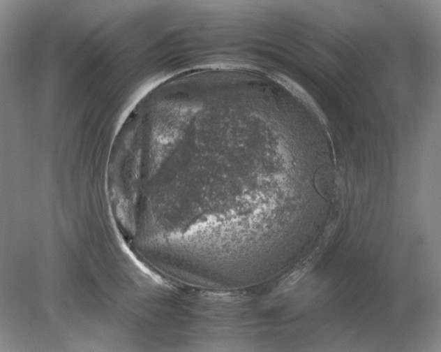 X0000079280855200612011656