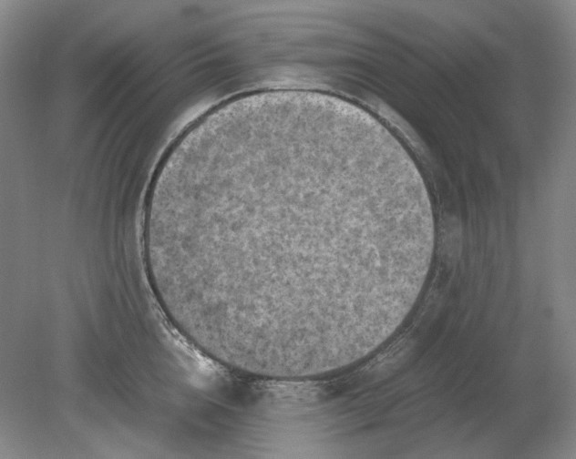 X0000079280856200612011656