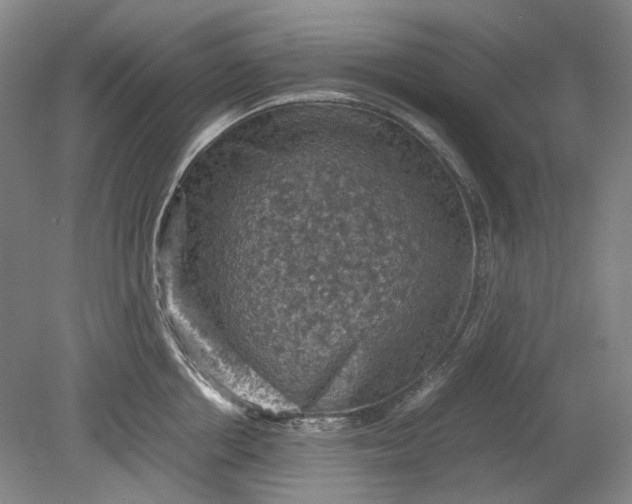 X0000079280858200612011656