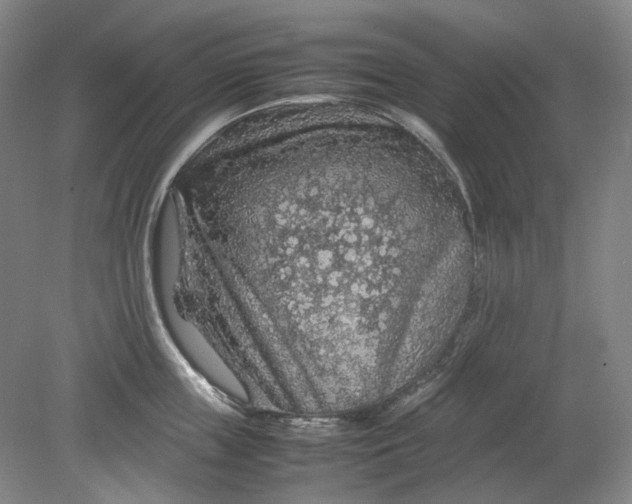 X0000079280859200612011656