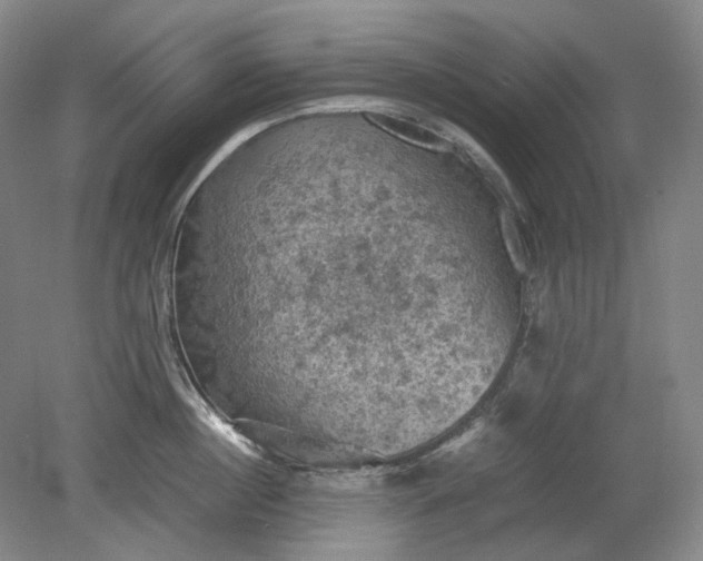 X0000079280860200612011656