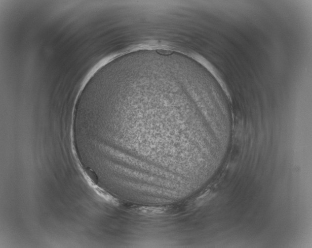 X0000079280861200612011656