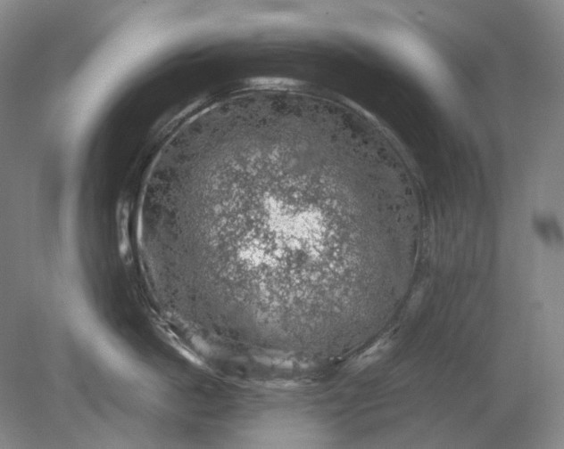 X0000079280862200612011656