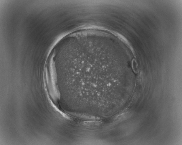 X0000079280863200612011656