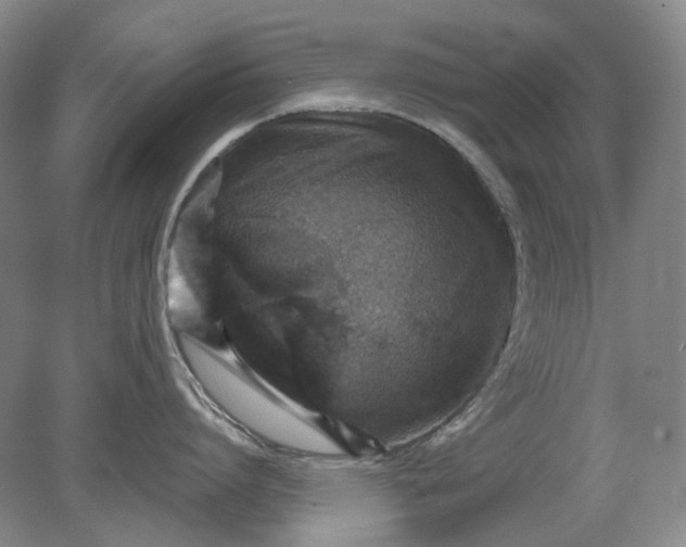 X0000079280864200612011656