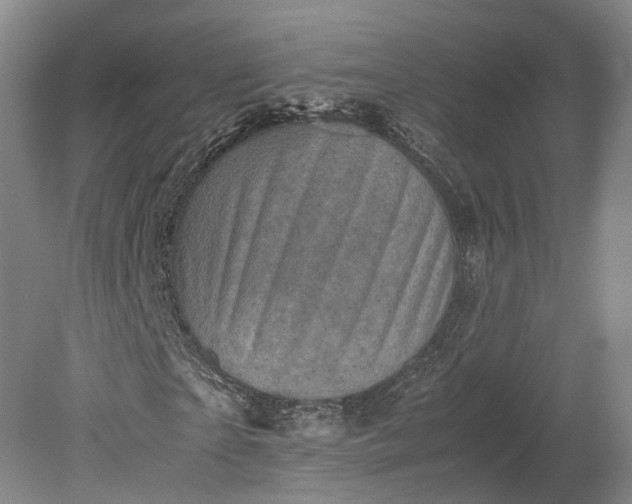 X0000079280865200612011655