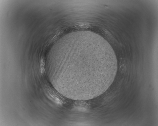 X0000079280866200612011655