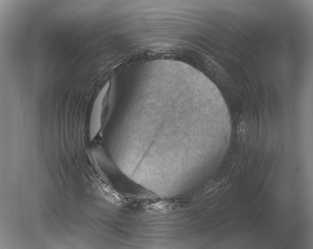 X0000079280868200612011655