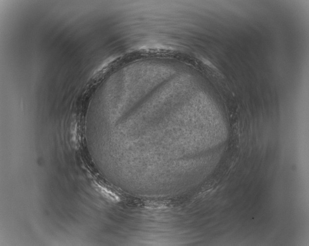 X0000079280870200612011655