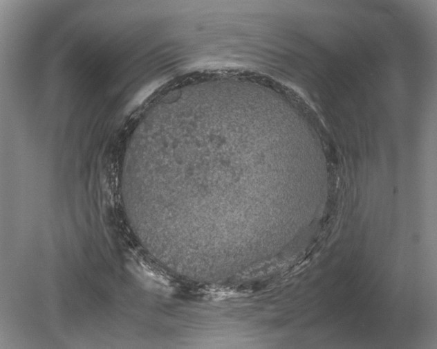 X0000079280871200612011655