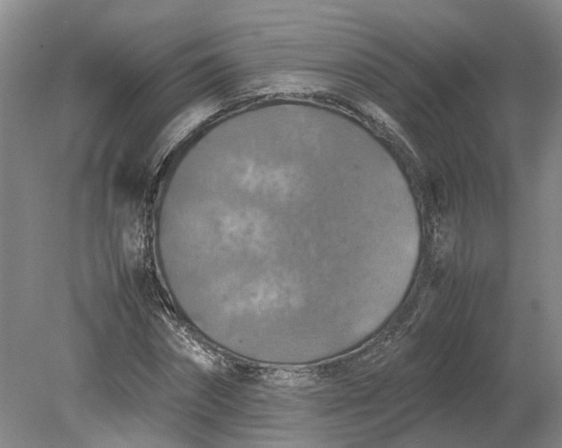 X0000079280874200612011655