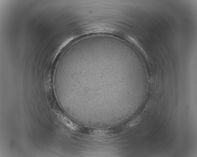 X0000079280875200612011655