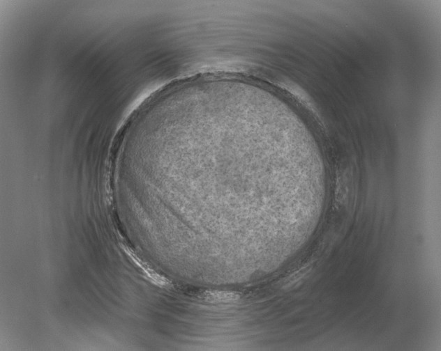 X0000079280878200612011655