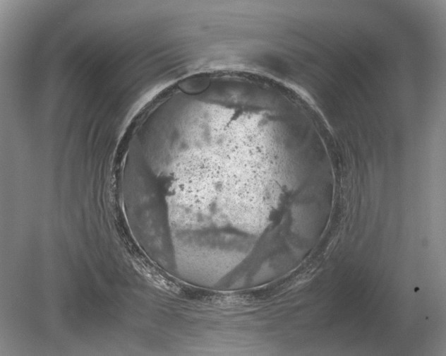 X0000079280879200612011655