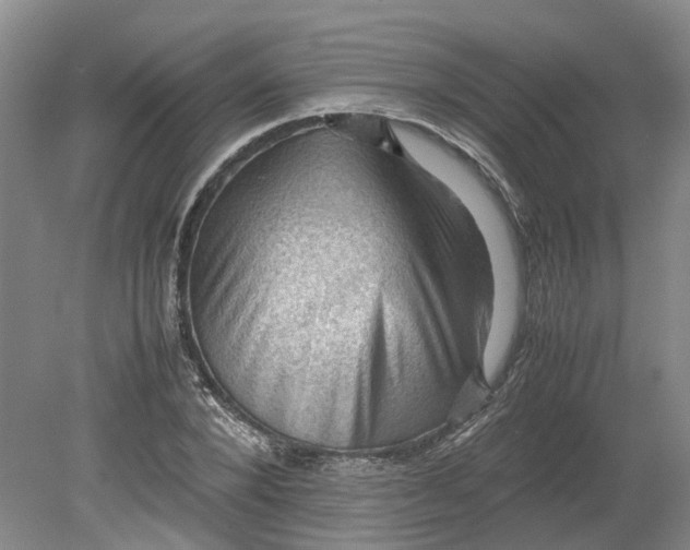 X0000079280880200612011655