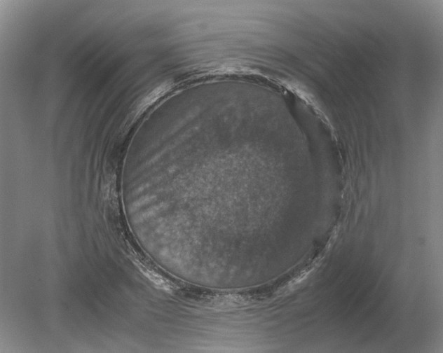 X0000079280881200612011655