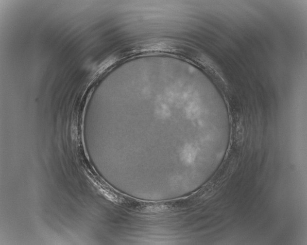 X0000079280882200612011655