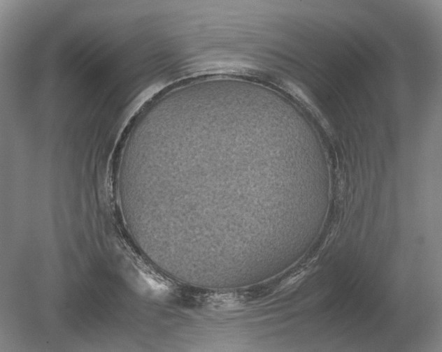 X0000079280883200612011655