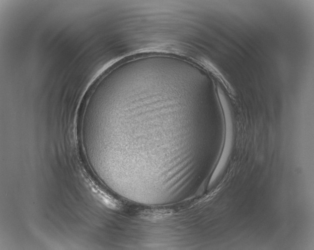 X0000079280884200612011655