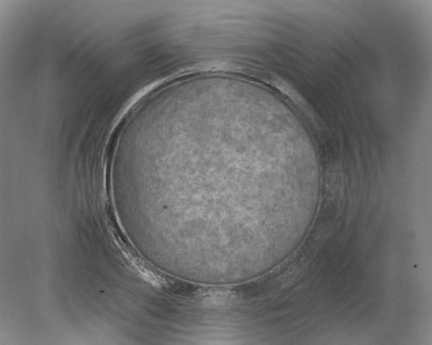 X0000079280886200612011655