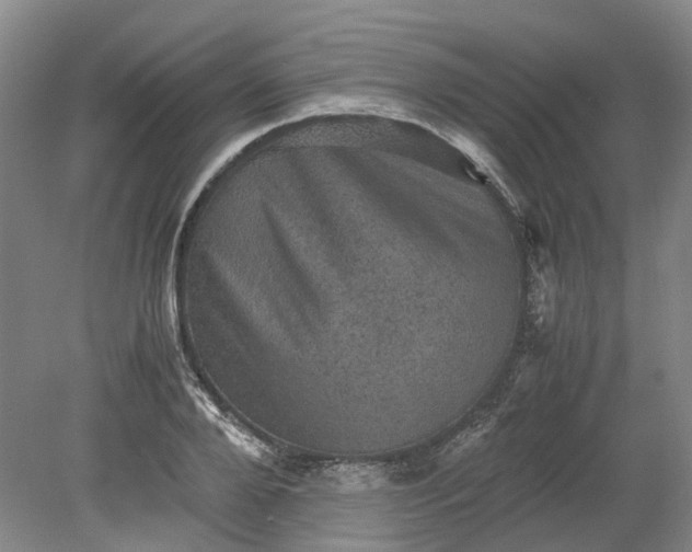 X0000079280888200612011655