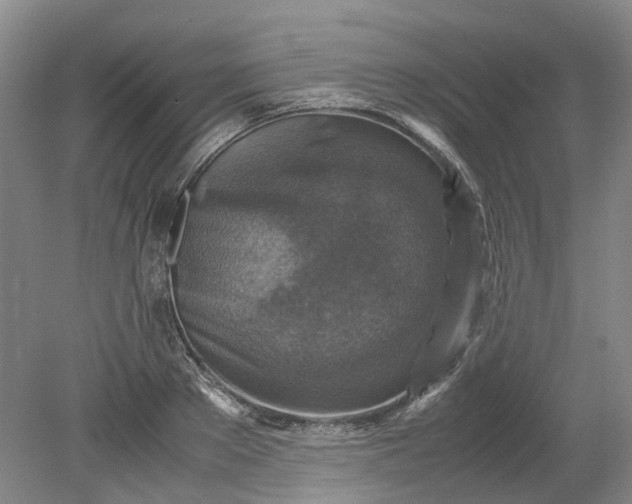 X0000079280889200612011655