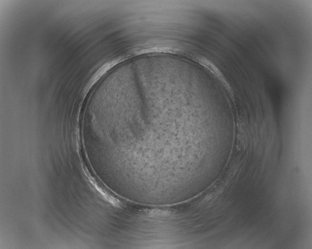 X0000079280890200612011655