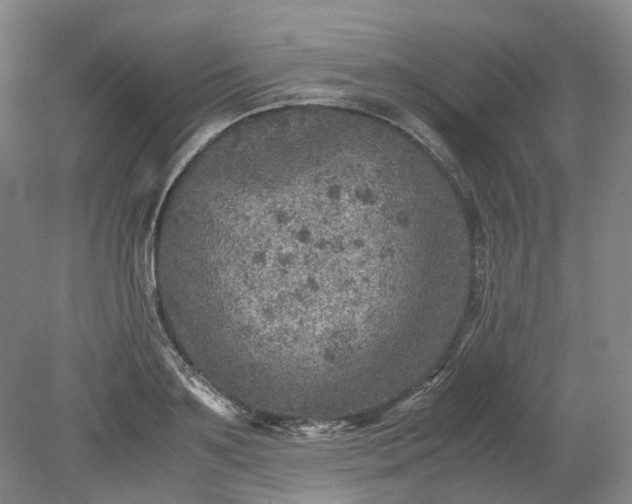 X0000079280891200612011655