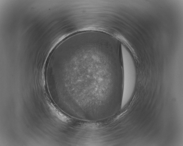 X0000079280892200612011655