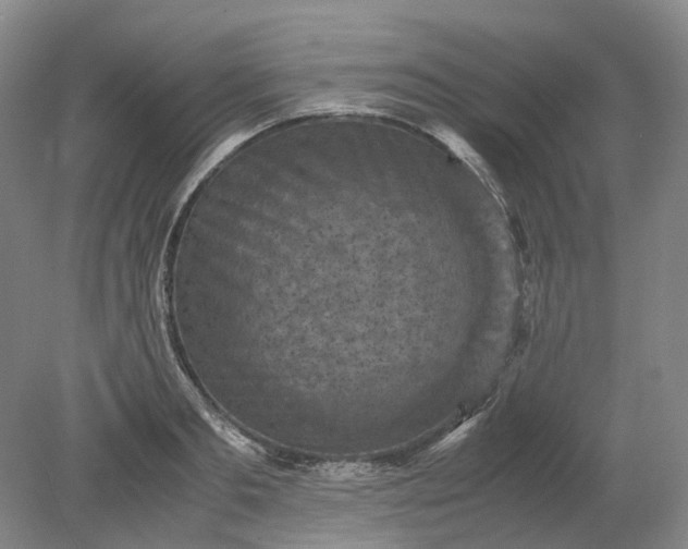 X0000079280893200612011655