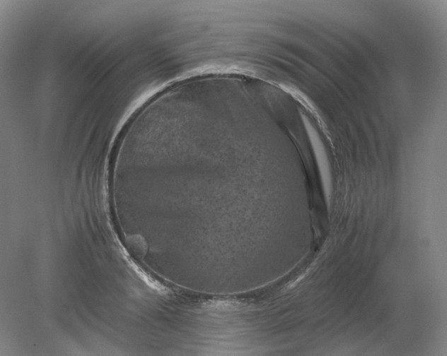 X0000079280894200612011655