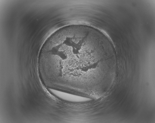 X0000079280895200612011655