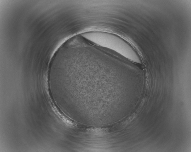 X0000079280896200612011655