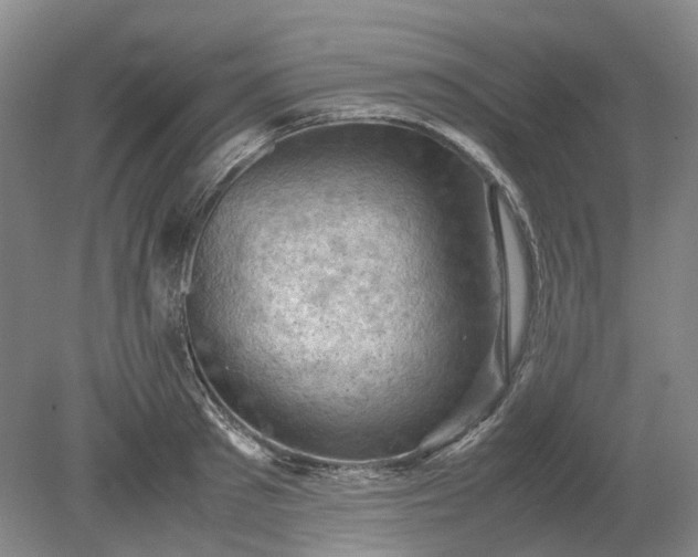 X0000079280897200612011655