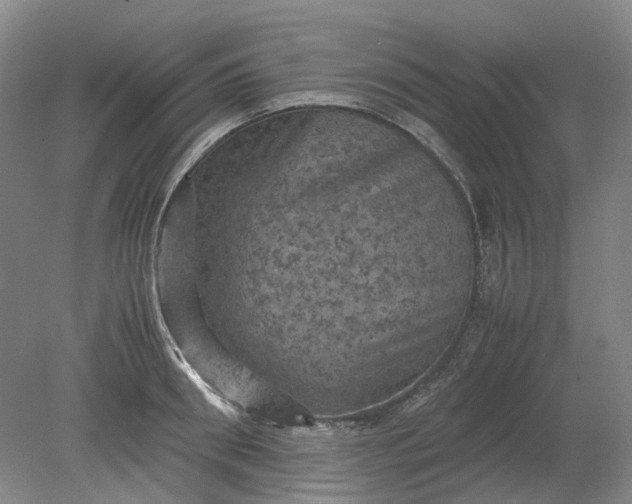 X0000079280898200612011655