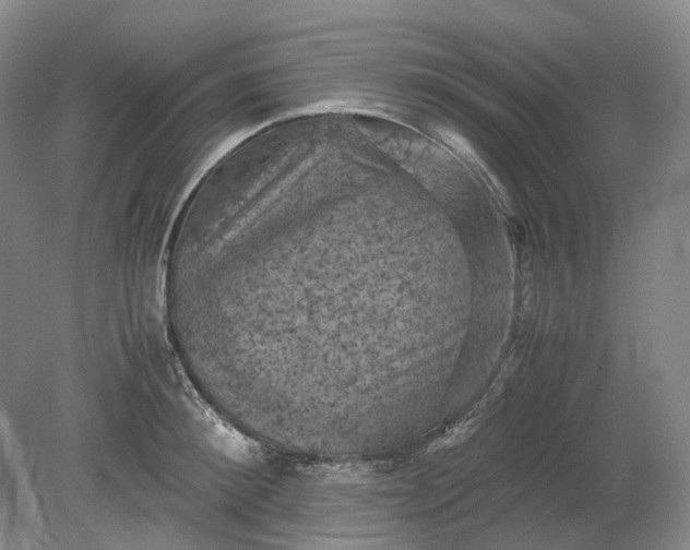 X0000079280900200612011655