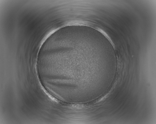 X0000079280901200612011655