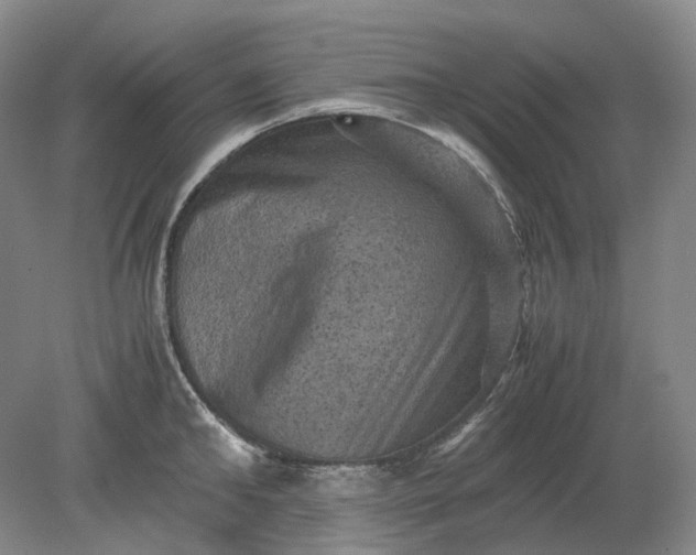 X0000079280902200612011655