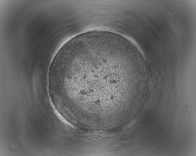 X0000079280903200612011655