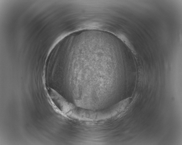 X0000079280904200612011655