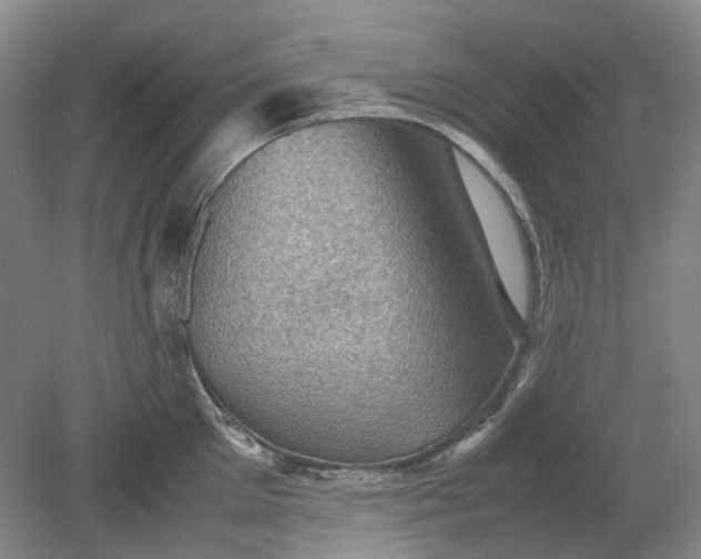 X0000079280905200612011655