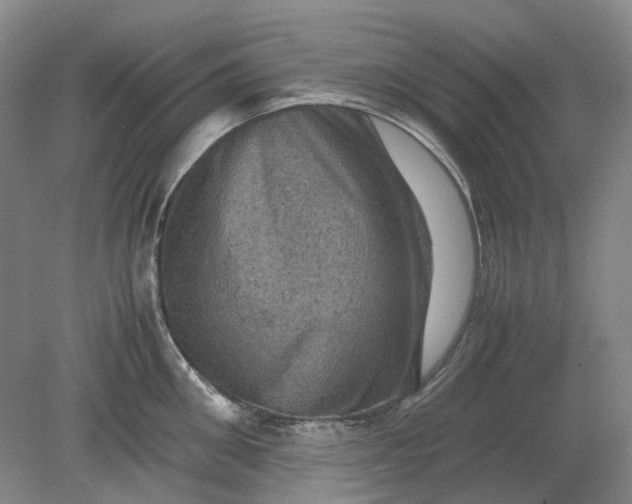 X0000079280906200612011655