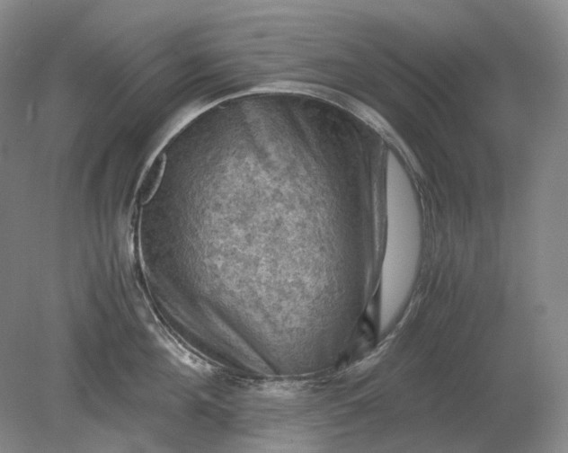 X0000079280908200612011655