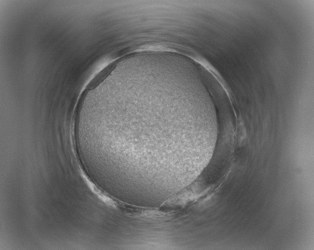 X0000079280909200612011655