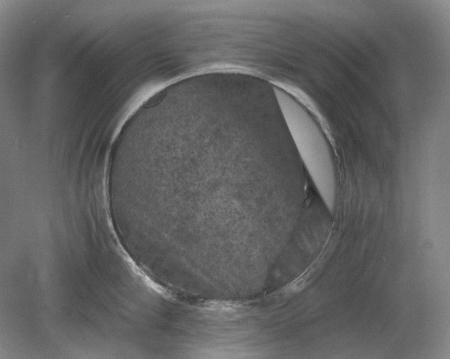 X0000079280910200612011655