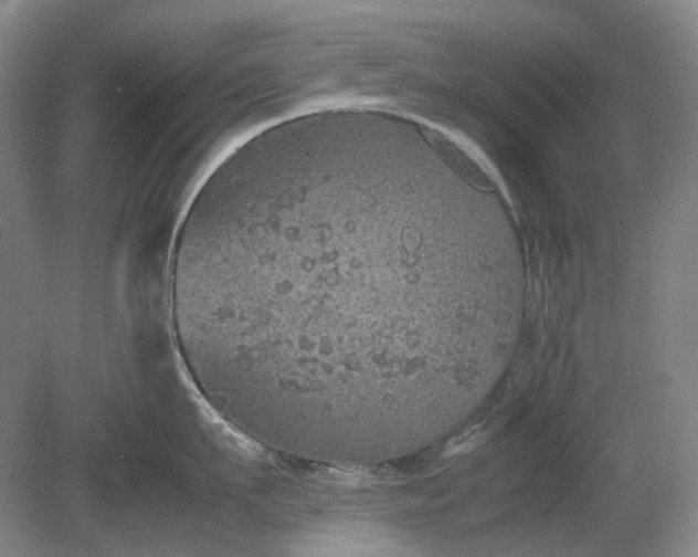 X0000079280911200612011655