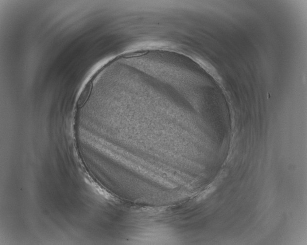 X0000079280912200612011655